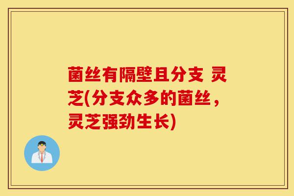 菌丝有隔壁且分支 灵芝(分支众多的菌丝，灵芝强劲生长)-第1张图片-灵芝之家