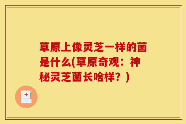 草原上像灵芝一样的菌是什么(草原奇观:神秘灵芝菌长啥样?)-第1张图片-灵芝之家 草原上像灵芝一样的菌是什么(草原奇观:神秘灵芝菌长啥样?)-第1张图片-灵芝之家