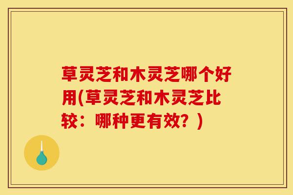 草灵芝和木灵芝哪个好用(草灵芝和木灵芝比较:哪种更有效?)-第1张图片-灵芝之家 草灵芝和木灵芝哪个好用(草灵芝和木灵芝比较:哪种更有效?)-第1张图片-灵芝之家
