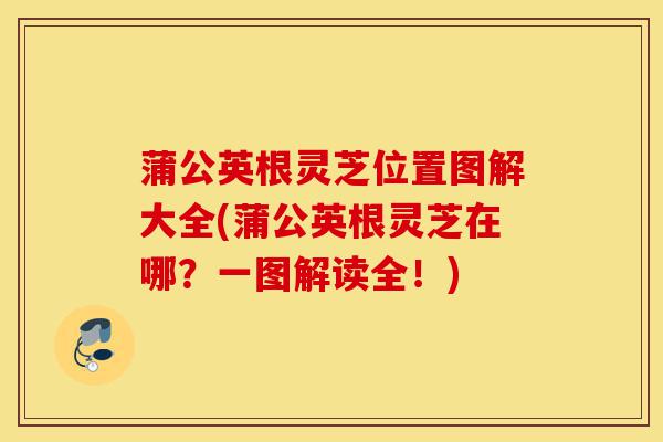 蒲公英根灵芝位置图解大全(蒲公英根灵芝在哪?一图解读全!)-第1张图片-灵芝之家 蒲公英根灵芝位置图解大全(蒲公英根灵芝在哪?一图解读全!)-第1张图片-灵芝之家