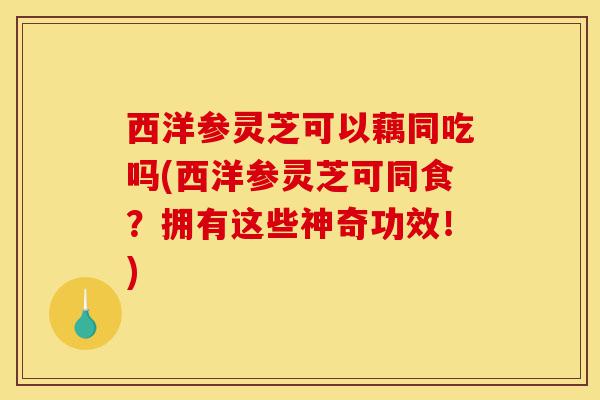 西洋参灵芝可以藕同吃吗(西洋参灵芝可同食?拥有这些神奇功效!)-第1张图片-灵芝之家 西洋参灵芝可以藕同吃吗(西洋参灵芝可同食?拥有这些神奇功效!)-第1张图片-灵芝之家