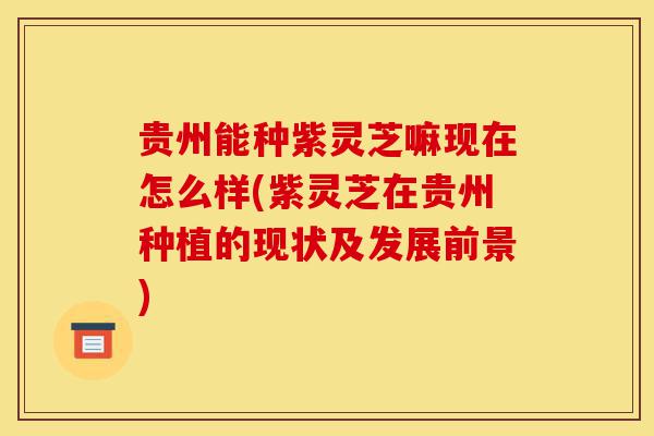 贵州能种紫灵芝嘛现在怎么样(紫灵芝在贵州种植的现状及发展前景)-第1张图片-灵芝之家 贵州能种紫灵芝嘛现在怎么样(紫灵芝在贵州种植的现状及发展前景)-第1张图片-灵芝之家