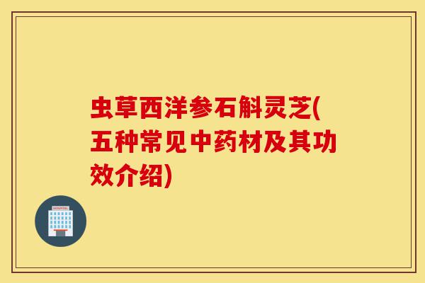 虫草西洋参石斛灵芝(五种常见中药材及其功效介绍)-第1张图片-灵芝之家
