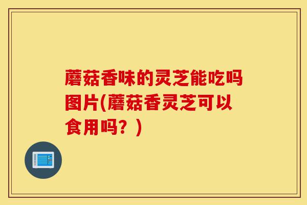 蘑菇香味的灵芝能吃吗图片(蘑菇香灵芝可以食用吗?)-第1张图片-灵芝之家 蘑菇香味的灵芝能吃吗图片(蘑菇香灵芝可以食用吗?)-第1张图片-灵芝之家