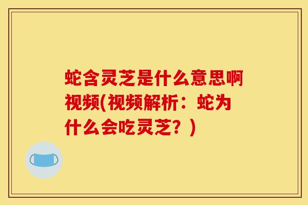 蛇含灵芝是什么意思啊视频(视频解析：蛇为什么会吃灵芝？)-第1张图片-灵芝之家