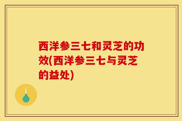 西洋参三七和灵芝的功效(西洋参三七与灵芝的益处)-第1张图片-灵芝之家 西洋参三七和灵芝的功效(西洋参三七与灵芝的益处)-第1张图片-灵芝之家