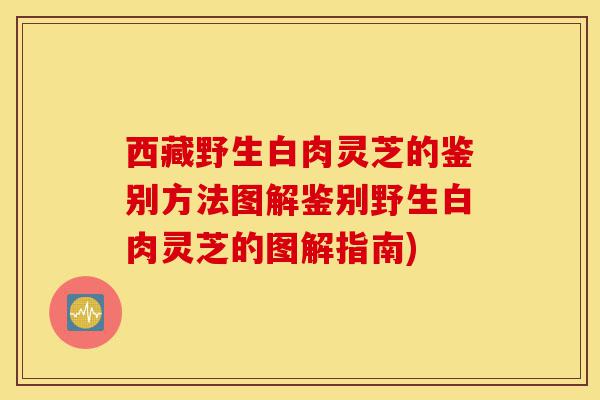 西藏野生白肉灵芝的鉴别方法图解鉴别野生白肉灵芝的图解指南)-第1张图片-灵芝之家