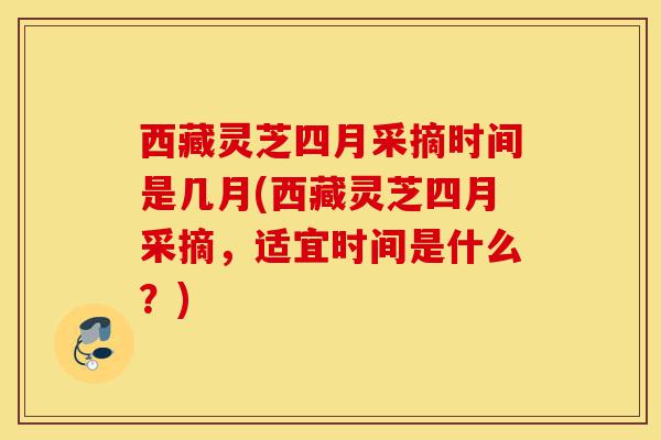 西藏灵芝四月采摘时间是几月(西藏灵芝四月采摘,适宜时间是什么?)-第1张图片-灵芝之家 西藏灵芝四月采摘时间是几月(西藏灵芝四月采摘,适宜时间是什么?)-第1张图片-灵芝之家