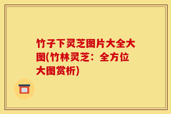 竹子下灵芝图片大全大图(竹林灵芝：全方位大图赏析)-第1张图片-灵芝之家