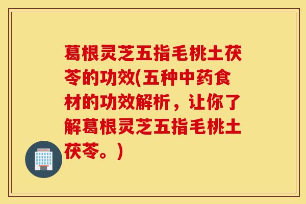 葛根灵芝五指毛桃土茯苓的功效(五种中药食材的功效解析,让你了解葛根灵芝五指毛桃土茯苓。)-第1张图片-灵芝之家 葛根灵芝五指毛桃土茯苓的功效(五种中药食材的功效解析,让你了解葛根灵芝五指毛桃土茯苓。)-第1张图片-灵芝之家