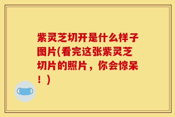 紫灵芝切开是什么样子图片(看完这张紫灵芝切片的照片，你会惊呆！)-第1张图片-灵芝之家