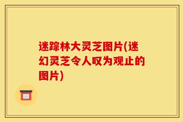 迷踪林大灵芝图片(迷幻灵芝令人叹为观止的图片)-第1张图片-灵芝之家 迷踪林大灵芝图片(迷幻灵芝令人叹为观止的图片)-第1张图片-灵芝之家