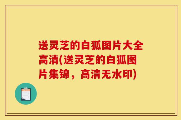 送灵芝的白狐图片大全高清(送灵芝的白狐图片集锦,高清无水印)-第1张图片-灵芝之家 送灵芝的白狐图片大全高清(送灵芝的白狐图片集锦,高清无水印)-第1张图片-灵芝之家