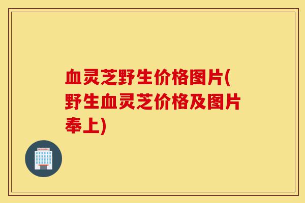 血灵芝野生价格图片(野生血灵芝价格及图片奉上)-第1张图片-灵芝之家 血灵芝野生价格图片(野生血灵芝价格及图片奉上)-第1张图片-灵芝之家