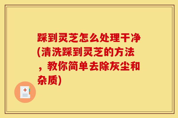 踩到灵芝怎么处理干净(清洗踩到灵芝的方法,教你简单去除灰尘和杂质)-第1张图片-灵芝之家 踩到灵芝怎么处理干净(清洗踩到灵芝的方法,教你简单去除灰尘和杂质)-第1张图片-灵芝之家