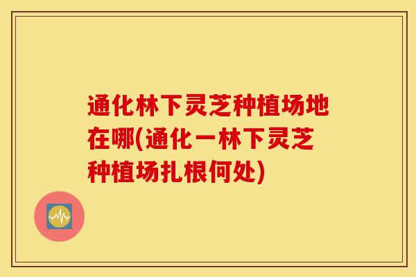 通化林下灵芝种植场地在哪(通化一林下灵芝种植场扎根何处)-第1张图片-灵芝之家