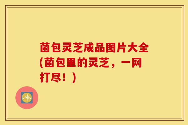 菌包灵芝成品图片大全(菌包里的灵芝,一网打尽!)-第1张图片-灵芝之家 菌包灵芝成品图片大全(菌包里的灵芝,一网打尽!)-第1张图片-灵芝之家