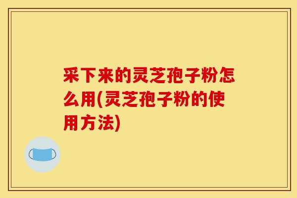 采下来的灵芝孢子粉怎么用(灵芝孢子粉的使用方法)-第1张图片-灵芝之家 采下来的灵芝孢子粉怎么用(灵芝孢子粉的使用方法)-第1张图片-灵芝之家