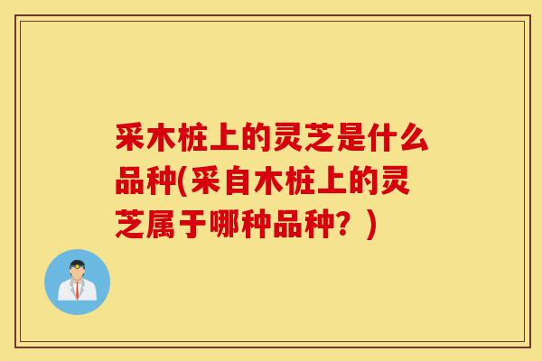采木桩上的灵芝是什么品种(采自木桩上的灵芝属于哪种品种?)-第1张图片-灵芝之家 采木桩上的灵芝是什么品种(采自木桩上的灵芝属于哪种品种?)-第1张图片-灵芝之家