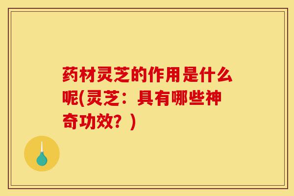 药材灵芝的作用是什么呢(灵芝:具有哪些神奇功效?)-第1张图片-灵芝之家 药材灵芝的作用是什么呢(灵芝:具有哪些神奇功效?)-第1张图片-灵芝之家