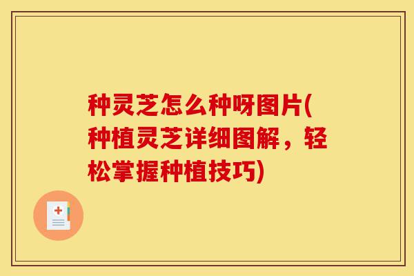 种灵芝怎么种呀图片(种植灵芝详细图解,轻松掌握种植技巧)-第1张图片-灵芝之家 种灵芝怎么种呀图片(种植灵芝详细图解,轻松掌握种植技巧)-第1张图片-灵芝之家