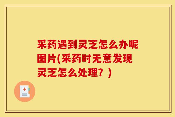 采药遇到灵芝怎么办呢图片(采药时无意发现灵芝怎么处理？)-第1张图片-灵芝之家