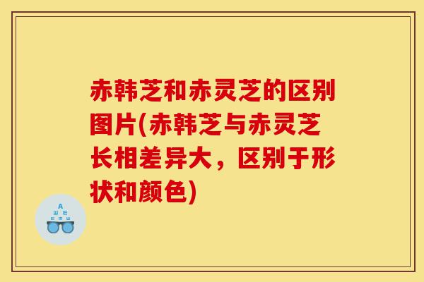赤韩芝和赤灵芝的区别图片(赤韩芝与赤灵芝长相差异大,区别于形状和颜色)-第1张图片-灵芝之家 赤韩芝和赤灵芝的区别图片(赤韩芝与赤灵芝长相差异大,区别于形状和颜色)-第1张图片-灵芝之家