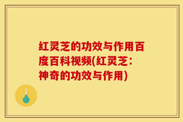 红灵芝的功效与作用百度百科视频(红灵芝:神奇的功效与作用)-第1张图片-灵芝之家 红灵芝的功效与作用百度百科视频(红灵芝:神奇的功效与作用)-第1张图片-灵芝之家
