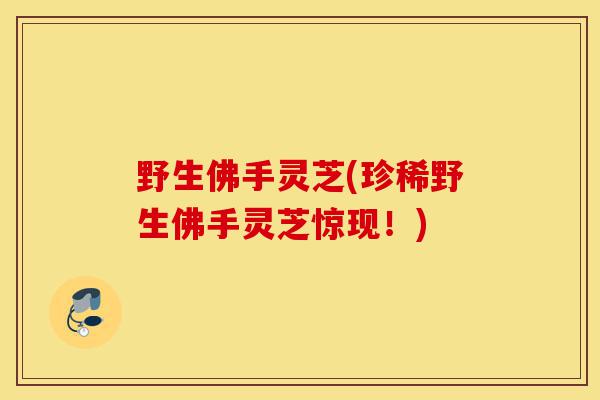 野生佛手灵芝(珍稀野生佛手灵芝惊现!)-第1张图片-灵芝之家 野生佛手灵芝(珍稀野生佛手灵芝惊现!)-第1张图片-灵芝之家