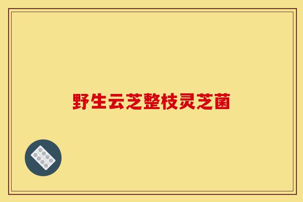 野生云芝整枝灵芝菌-第1张图片-灵芝之家 野生云芝整枝灵芝菌-第1张图片-灵芝之家