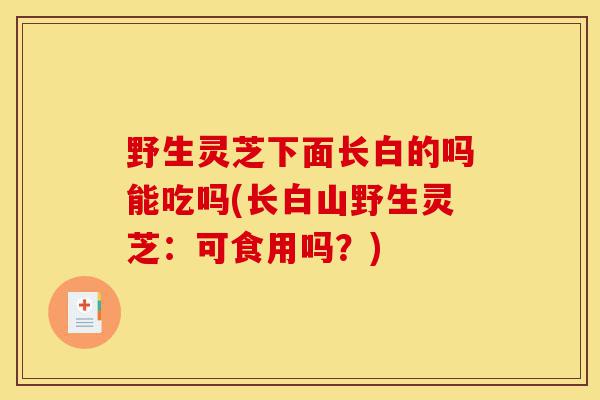 野生灵芝下面长白的吗能吃吗(长白山野生灵芝：可食用吗？)-第1张图片-灵芝之家