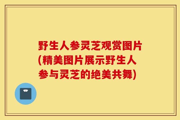 野生人参灵芝观赏图片(精美图片展示野生人参与灵芝的绝美共舞)-第1张图片-灵芝之家