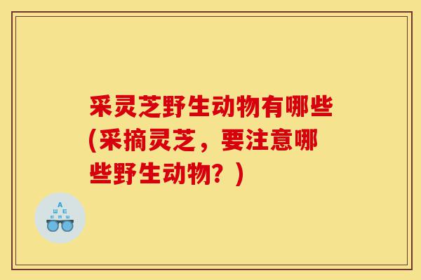 采灵芝野生动物有哪些(采摘灵芝,要注意哪些野生动物?)-第1张图片-灵芝之家 采灵芝野生动物有哪些(采摘灵芝,要注意哪些野生动物?)-第1张图片-灵芝之家