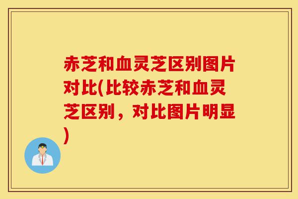 赤芝和血灵芝区别图片对比(比较赤芝和血灵芝区别,对比图片明显)-第1张图片-灵芝之家 赤芝和血灵芝区别图片对比(比较赤芝和血灵芝区别,对比图片明显)-第1张图片-灵芝之家