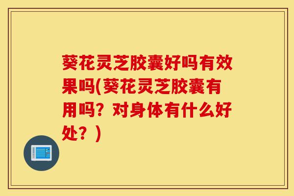 葵花灵芝胶囊好吗有效果吗(葵花灵芝胶囊有用吗?对身体有什么好处?)-第1张图片-灵芝之家 葵花灵芝胶囊好吗有效果吗(葵花灵芝胶囊有用吗?对身体有什么好处?)-第1张图片-灵芝之家