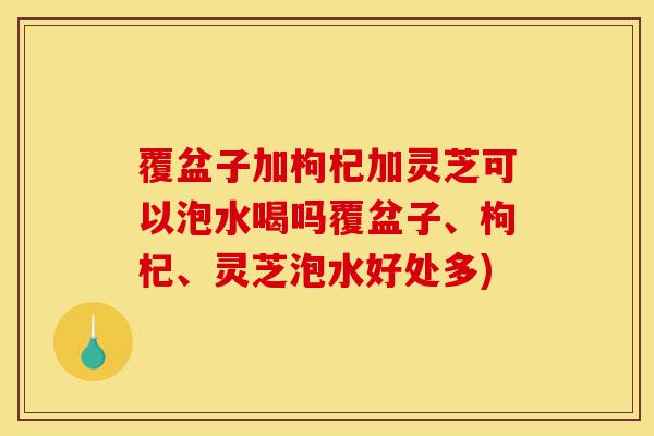覆盆子加枸杞加灵芝可以泡水喝吗覆盆子、枸杞、灵芝泡水好处多)-第1张图片-灵芝之家