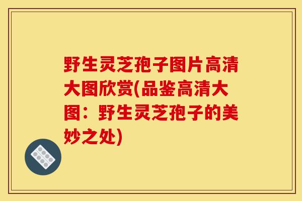 野生灵芝孢子图片高清大图欣赏(品鉴高清大图:野生灵芝孢子的美妙之处)-第1张图片-灵芝之家 野生灵芝孢子图片高清大图欣赏(品鉴高清大图:野生灵芝孢子的美妙之处)-第1张图片-灵芝之家