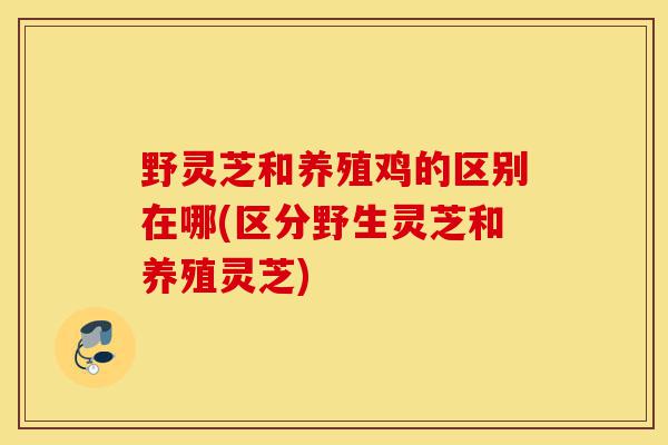 野灵芝和养殖鸡的区别在哪(区分野生灵芝和养殖灵芝)-第1张图片-灵芝之家 野灵芝和养殖鸡的区别在哪(区分野生灵芝和养殖灵芝)-第1张图片-灵芝之家