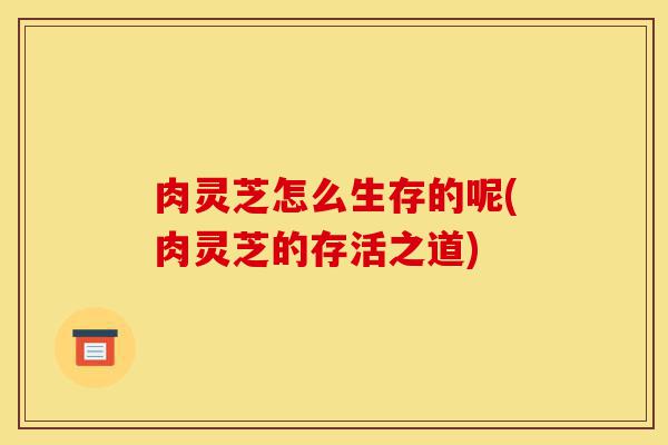 肉灵芝怎么生存的呢(肉灵芝的存活之道)-第1张图片-灵芝之家 肉灵芝怎么生存的呢(肉灵芝的存活之道)-第1张图片-灵芝之家