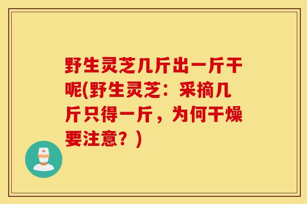 野生灵芝几斤出一斤干呢(野生灵芝：采摘几斤只得一斤，为何干燥要注意？)-第1张图片-灵芝之家