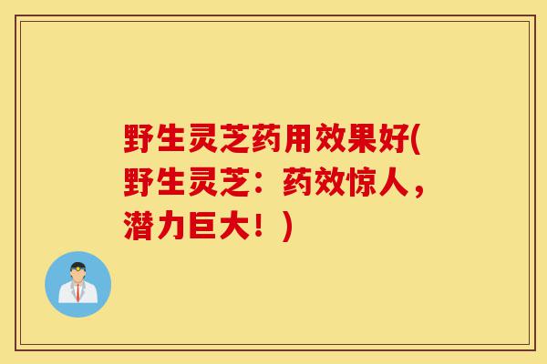 野生灵芝药用效果好(野生灵芝:药效惊人,潜力巨大!)-第1张图片-灵芝之家 野生灵芝药用效果好(野生灵芝:药效惊人,潜力巨大!)-第1张图片-灵芝之家