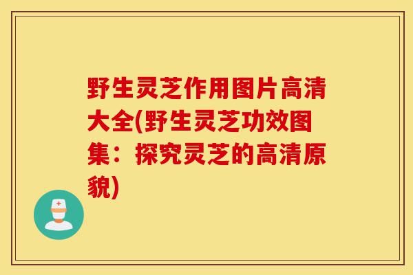 野生灵芝作用图片高清大全(野生灵芝功效图集:探究灵芝的高清原貌)-第1张图片-灵芝之家 野生灵芝作用图片高清大全(野生灵芝功效图集:探究灵芝的高清原貌)-第1张图片-灵芝之家
