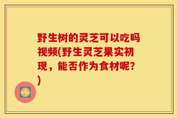 野生树的灵芝可以吃吗视频(野生灵芝果实初现,能否作为食材呢?)-第1张图片-灵芝之家 野生树的灵芝可以吃吗视频(野生灵芝果实初现,能否作为食材呢?)-第1张图片-灵芝之家