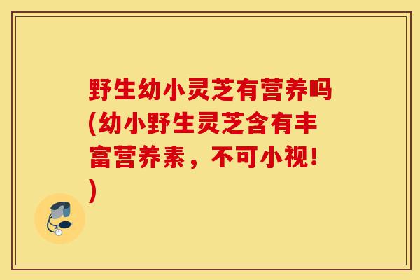 野生幼小灵芝有营养吗(幼小野生灵芝含有丰富营养素,不可小视!)-第1张图片-灵芝之家 野生幼小灵芝有营养吗(幼小野生灵芝含有丰富营养素,不可小视!)-第1张图片-灵芝之家