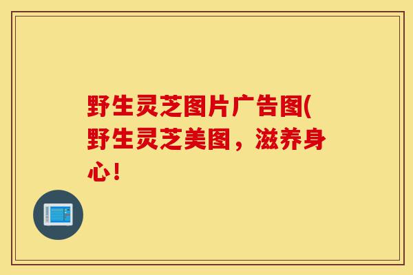 野生灵芝图片广告图(野生灵芝美图,滋养身心!-第1张图片-灵芝之家 野生灵芝图片广告图(野生灵芝美图,滋养身心!-第1张图片-灵芝之家