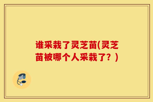 谁采栽了灵芝苗(灵芝苗被哪个人采栽了?)-第1张图片-灵芝之家 谁采栽了灵芝苗(灵芝苗被哪个人采栽了?)-第1张图片-灵芝之家