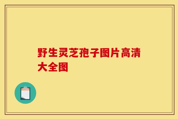 野生灵芝孢子图片高清大全图-第1张图片-灵芝之家