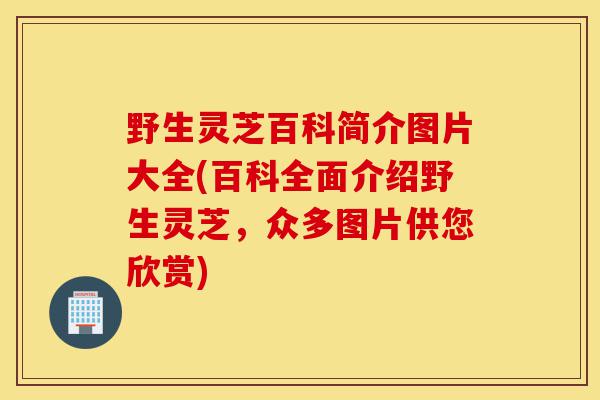 野生灵芝百科简介图片大全(百科全面介绍野生灵芝,众多图片供您欣赏)-第1张图片-灵芝之家 野生灵芝百科简介图片大全(百科全面介绍野生灵芝,众多图片供您欣赏)-第1张图片-灵芝之家