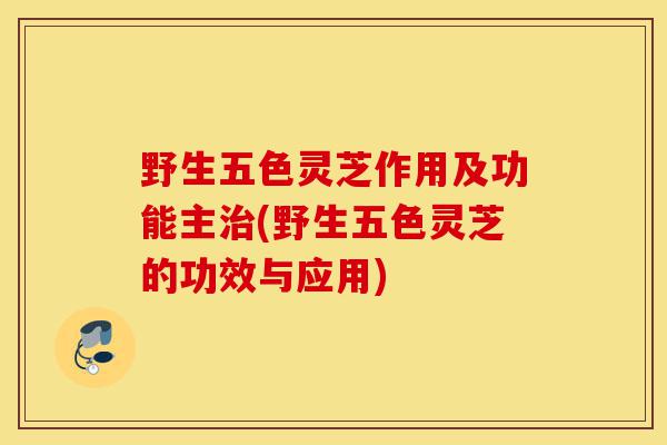 野生五色灵芝作用及功能主治(野生五色灵芝的功效与应用)-第1张图片-灵芝之家 野生五色灵芝作用及功能主治(野生五色灵芝的功效与应用)-第1张图片-灵芝之家