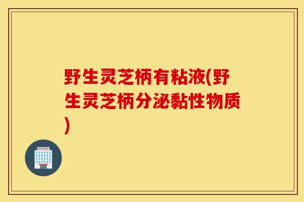 野生灵芝柄有粘液(野生灵芝柄分泌黏性物质)-第1张图片-灵芝之家 野生灵芝柄有粘液(野生灵芝柄分泌黏性物质)-第1张图片-灵芝之家
